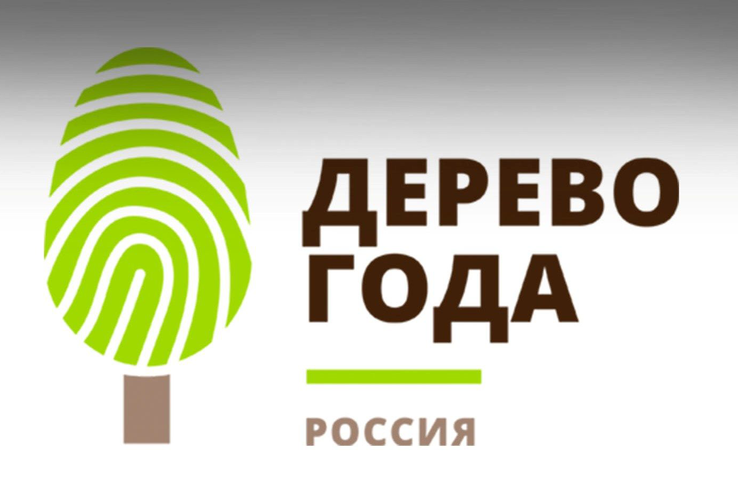 Ленинградская область – участник конкурса  Российское дерево года 2021!