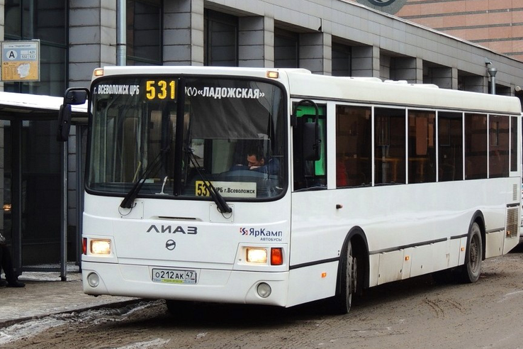 Ленинградские автобусы возвращаются к метро «Ладожская»