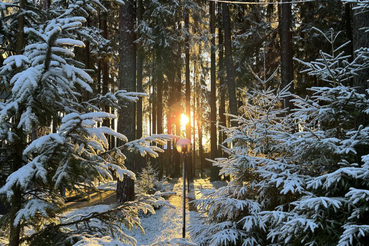 Снежный штаб Ленобласти приступил к работе