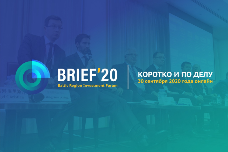 Ленинградская область встречает BRIEF ´ 2020