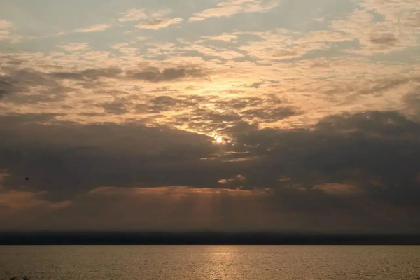 Ленобласть начинает разработку проекта «Чистая Ладога»